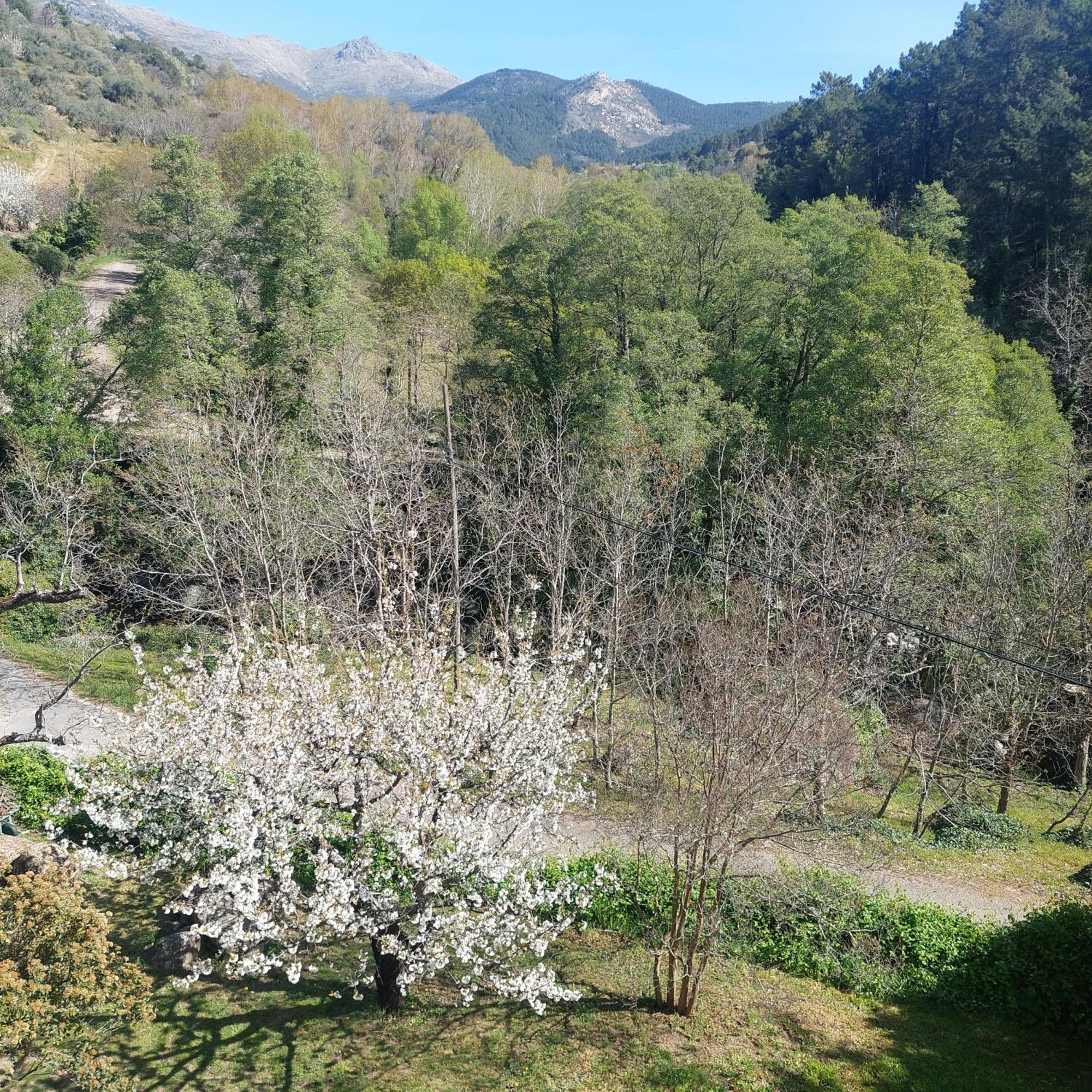 Puente Canto De Gredos Arenas de San Pedro Exteriér fotografie